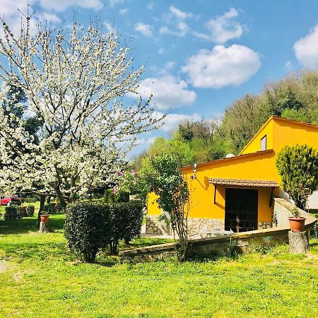 Agriturismo Pianezze Villa Grotte di Castro Exteriör bild