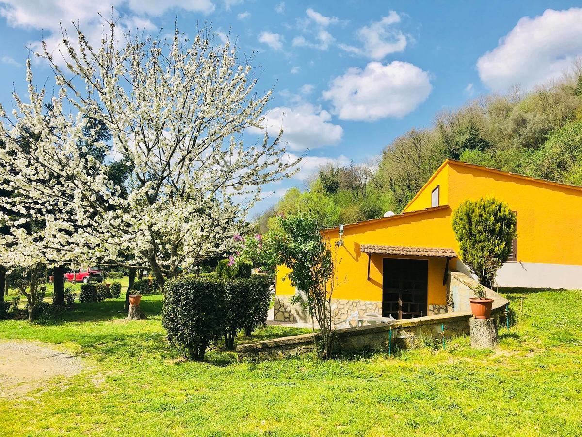 Agriturismo Pianezze Villa Grotte di Castro Exteriör bild
